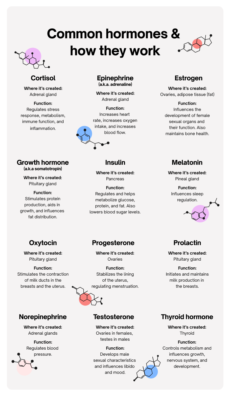 Hormones-web